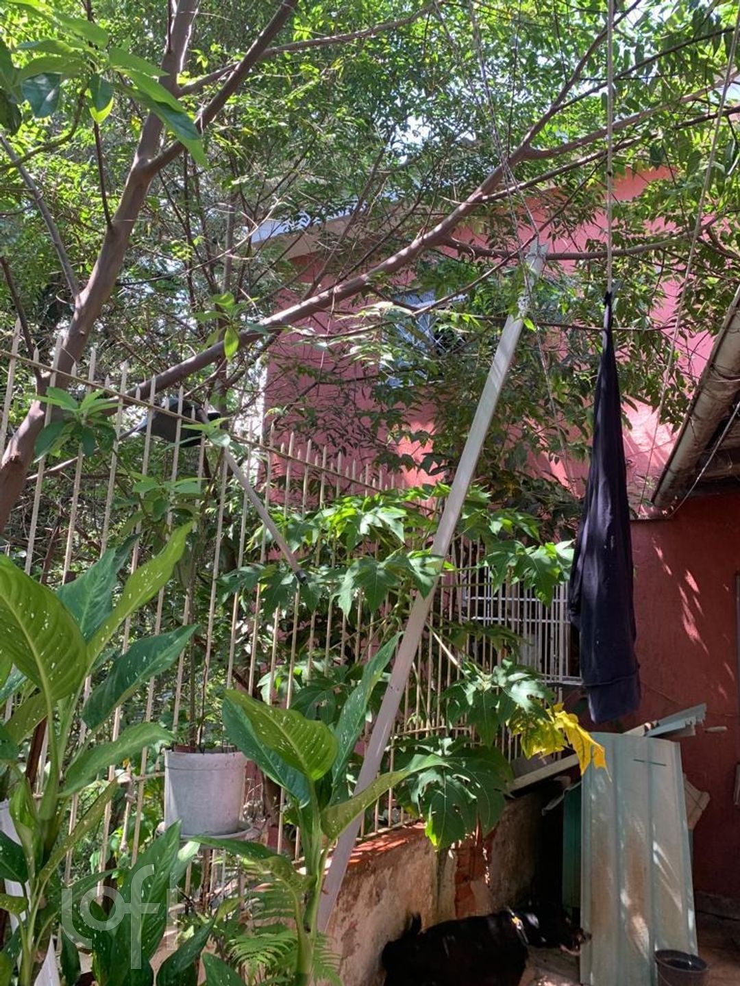 Imagem da propriedade 13