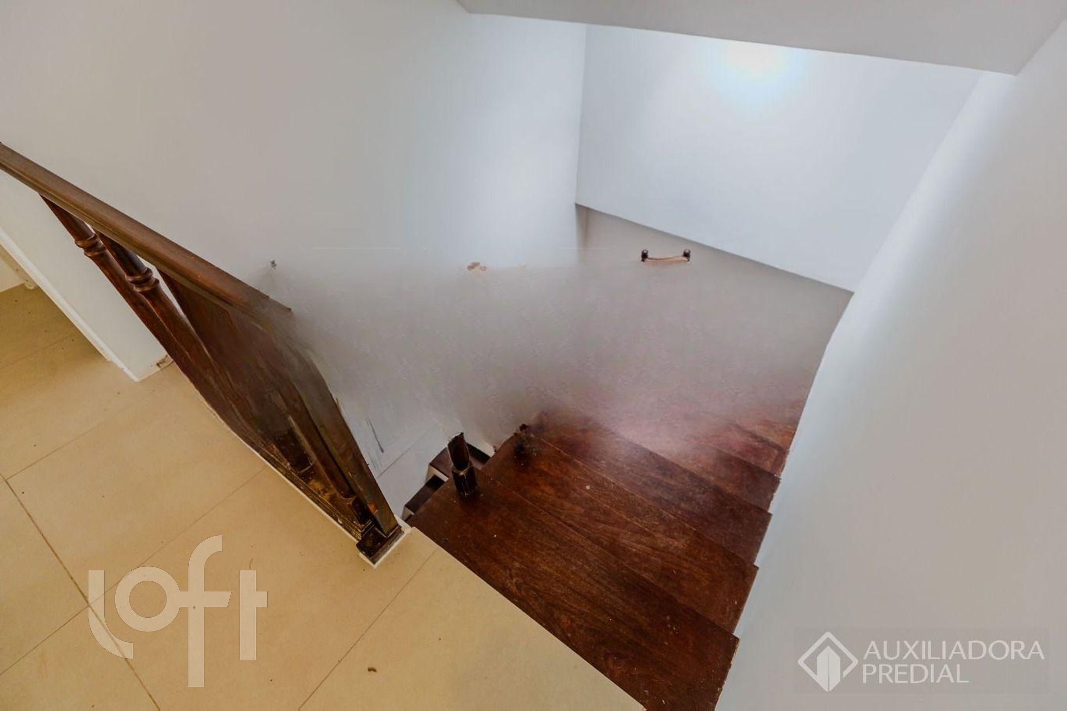 Imagem da propriedade 19