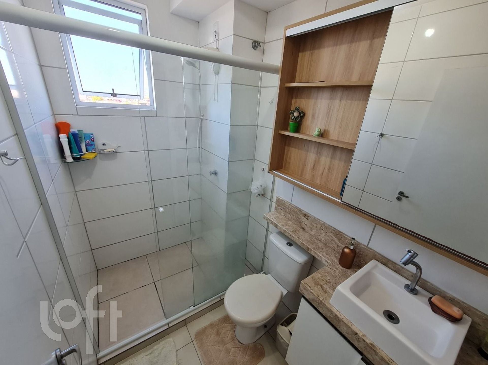 Imagem da propriedade 13