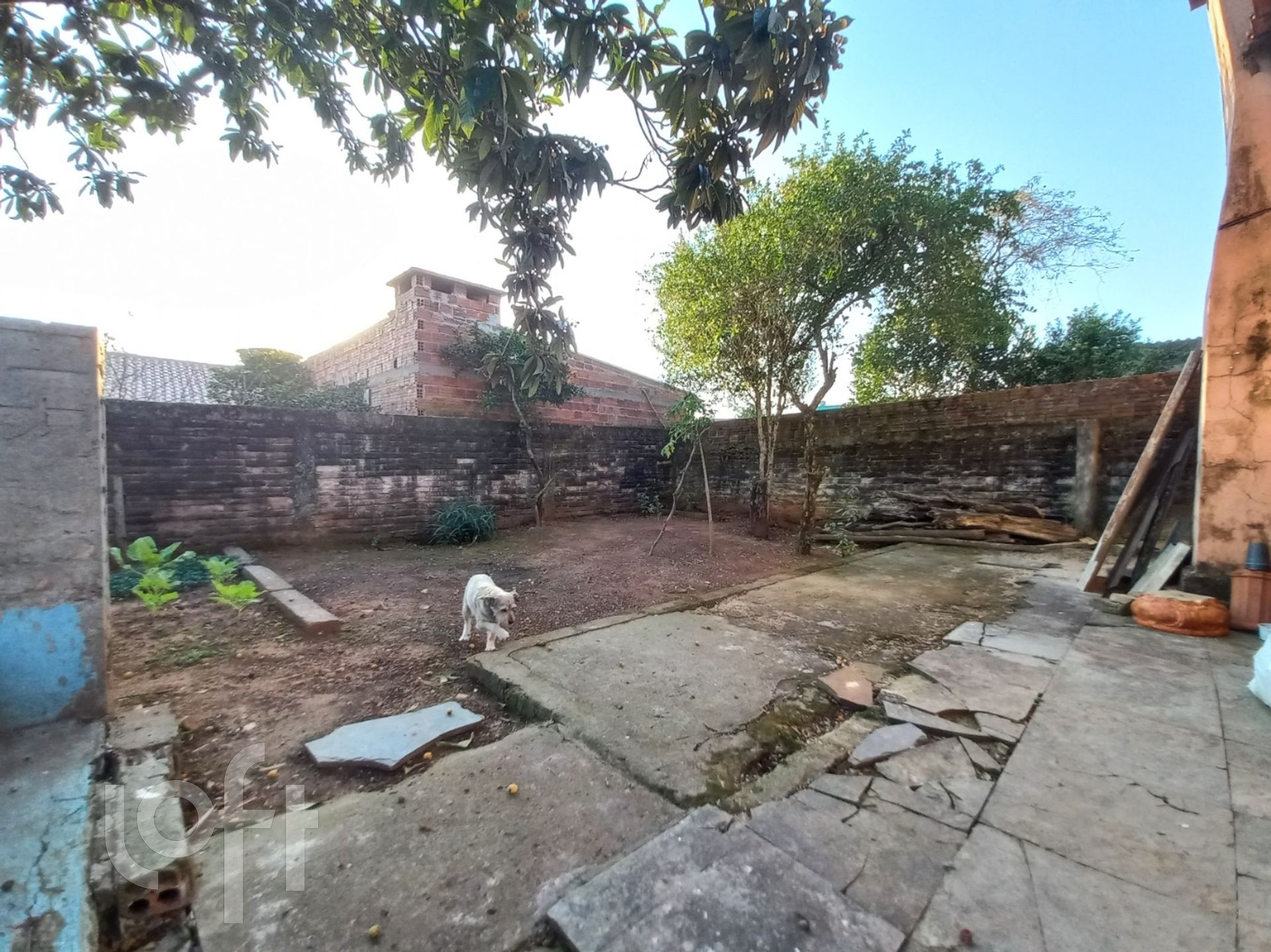 Imagem da propriedade 42