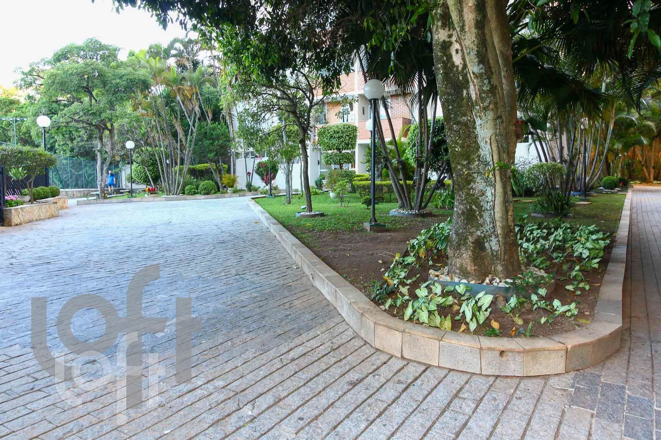 Imagem da propriedade 34