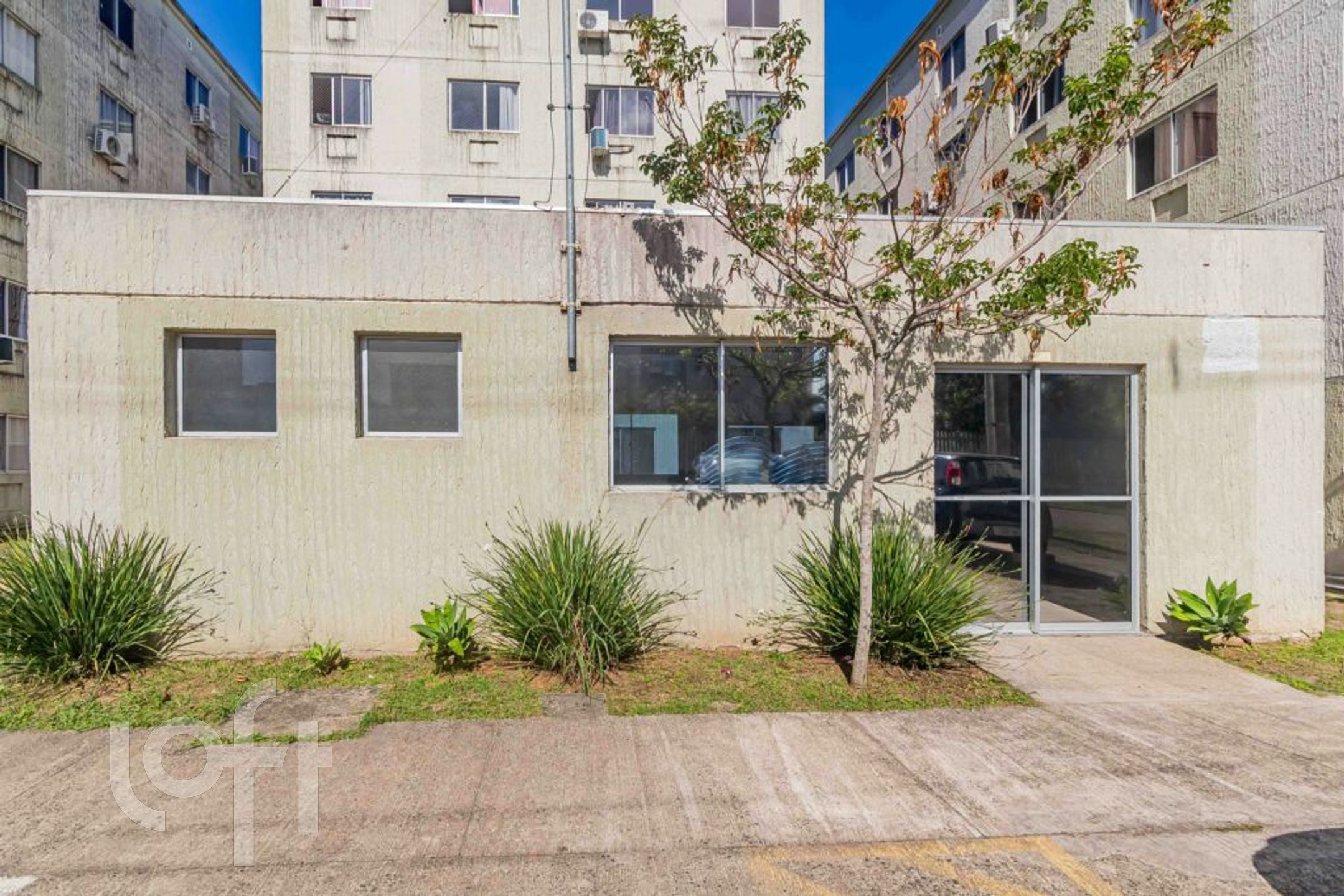 Imagem da propriedade 21