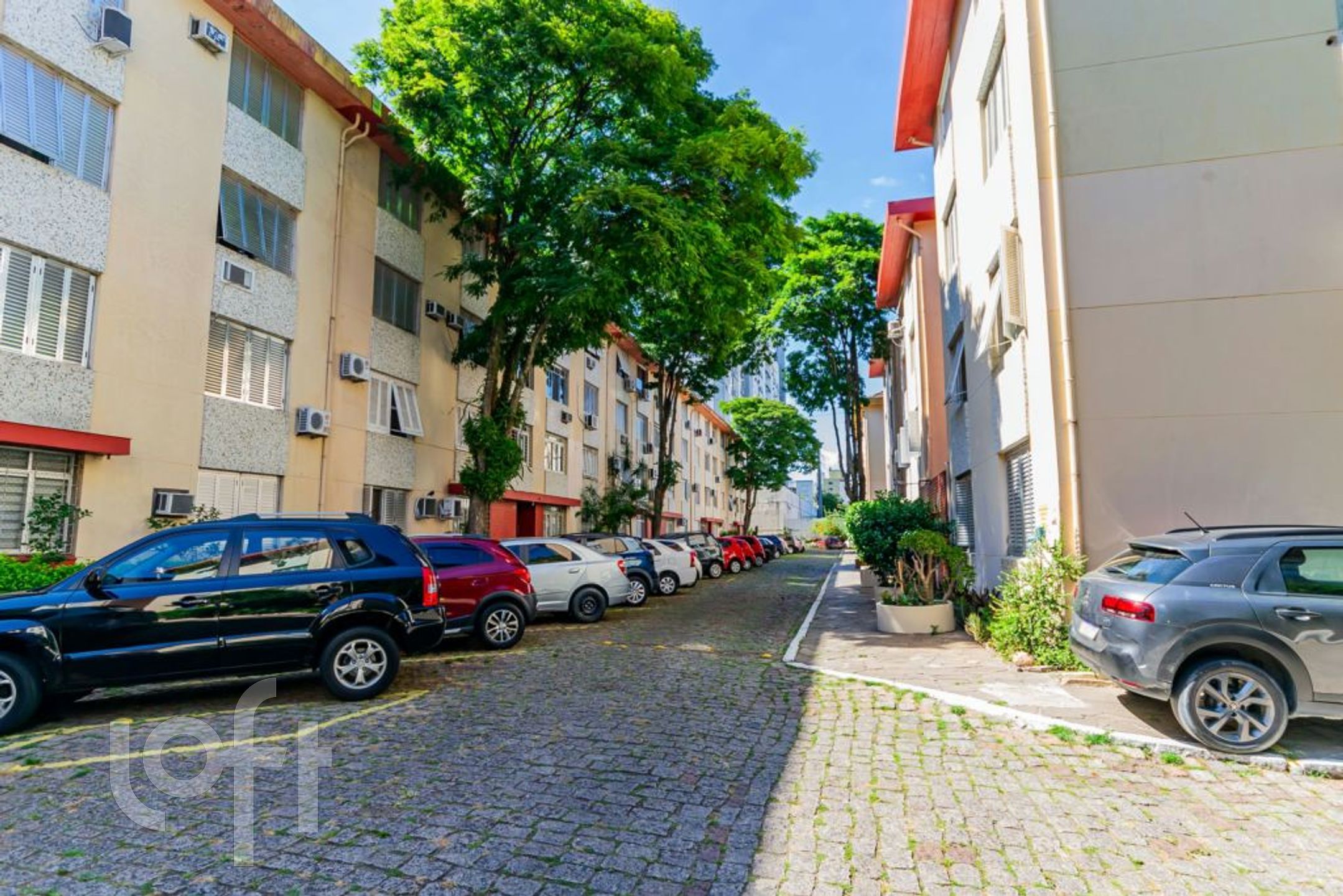 Imagem da propriedade 12