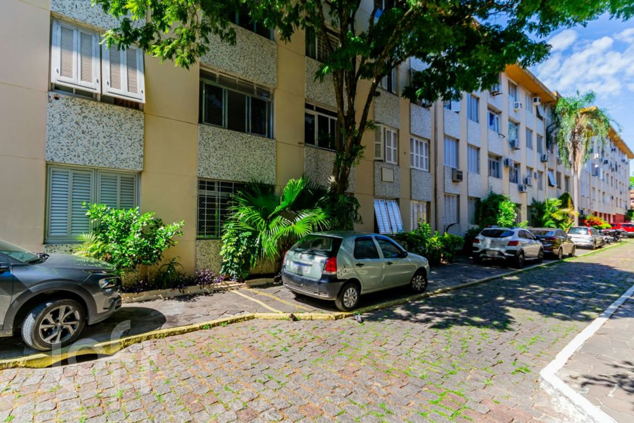 Imagem da propriedade 15