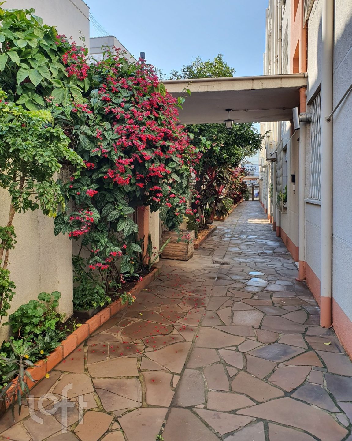 Imagem da propriedade 12