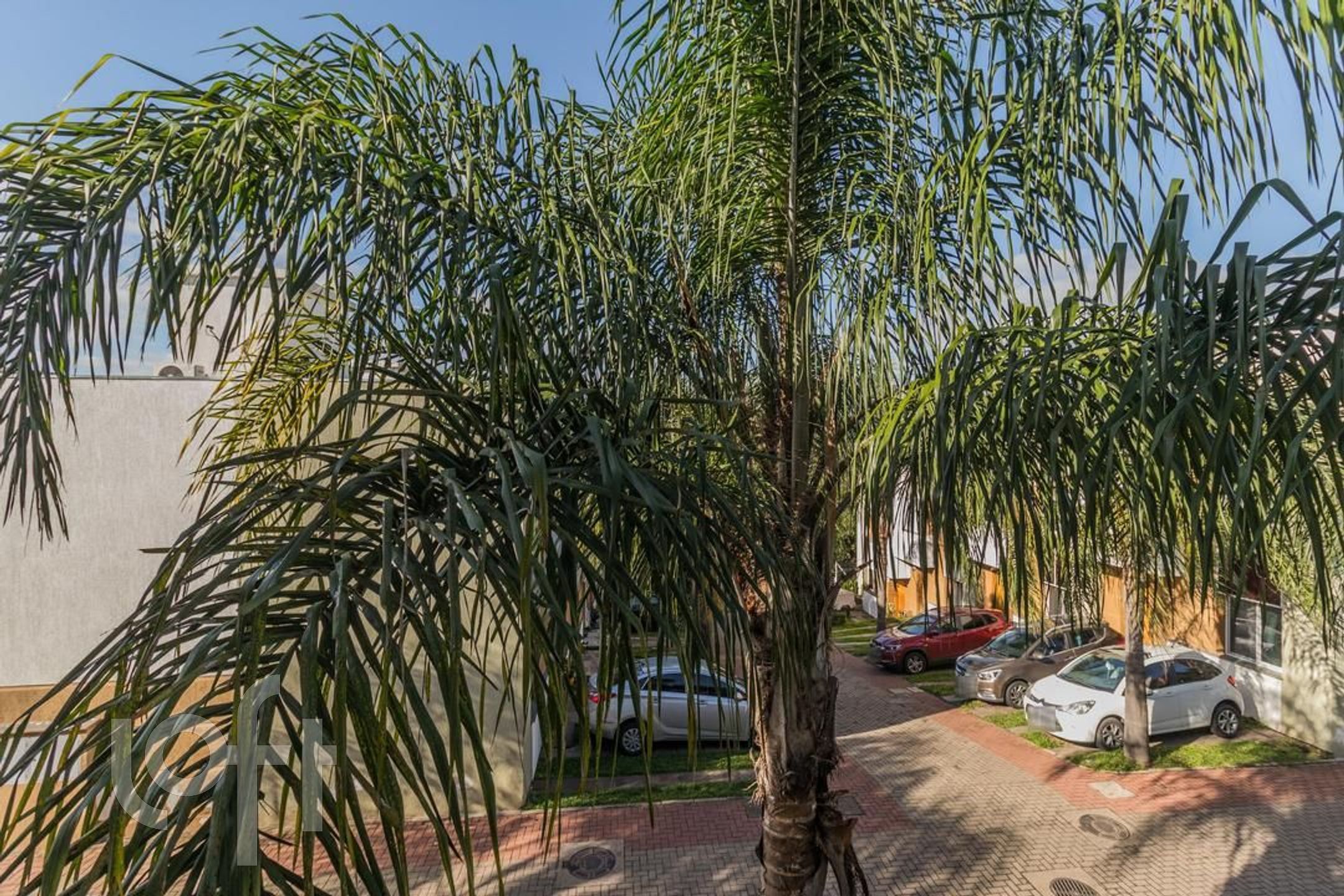 Imagem da propriedade 16