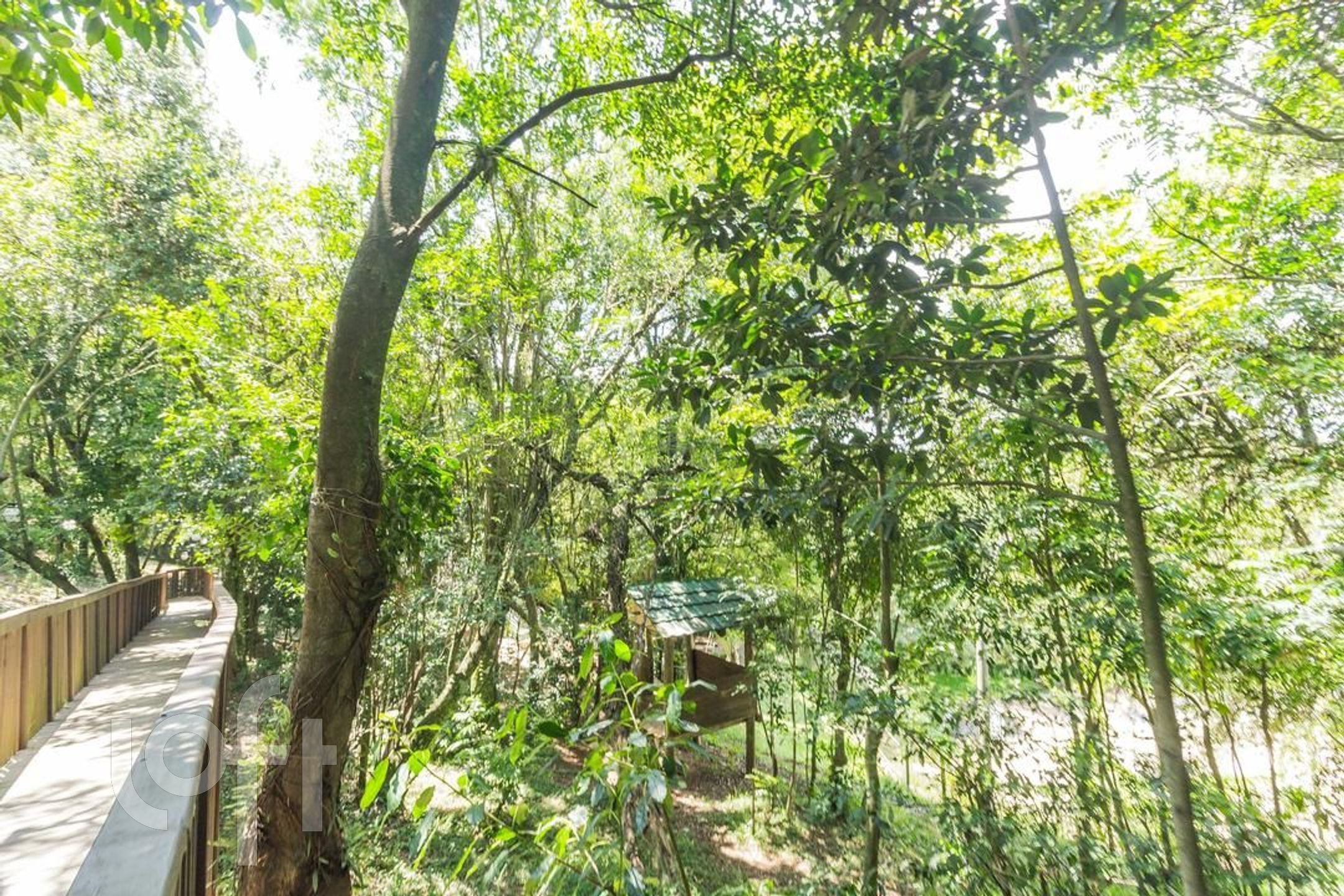 Imagem da propriedade 56