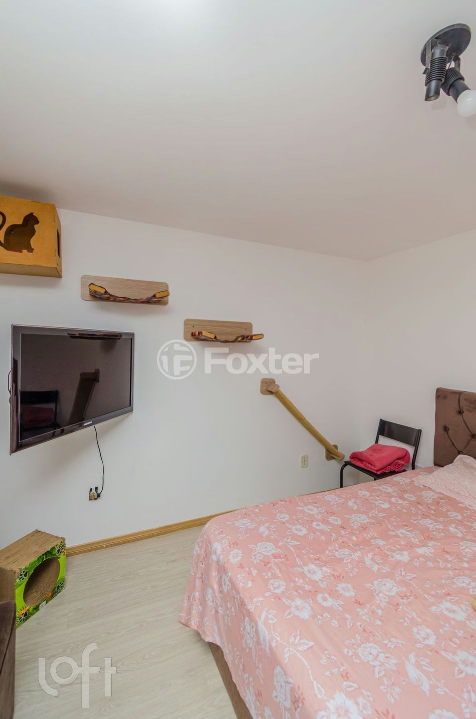 Imagem da propriedade 11