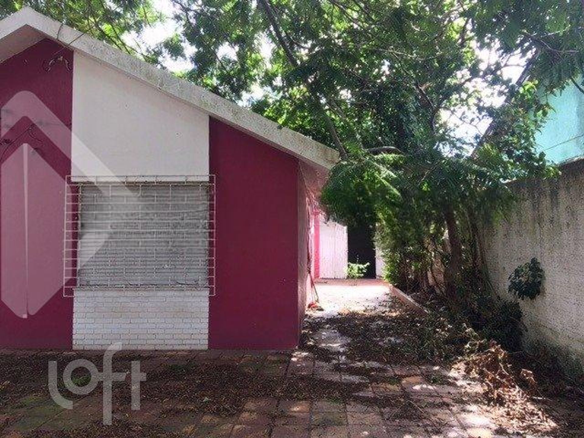 Imagem da propriedade 3