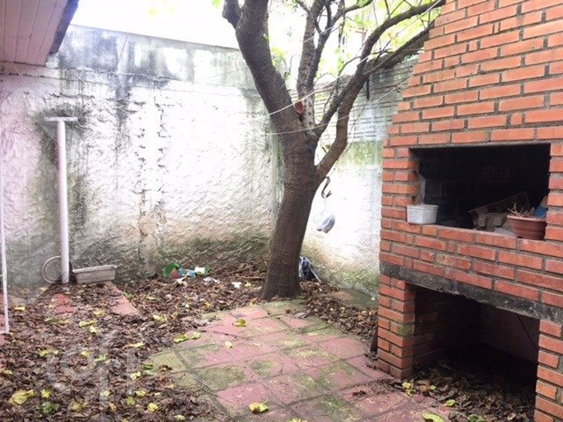 Imagem da propriedade 6