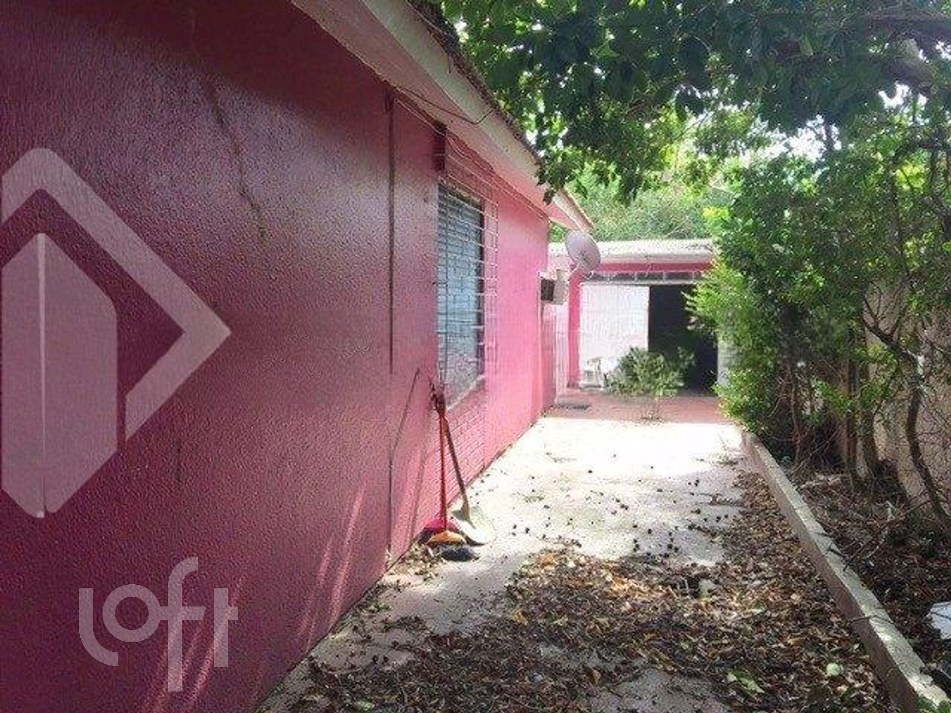 Imagem da propriedade 4