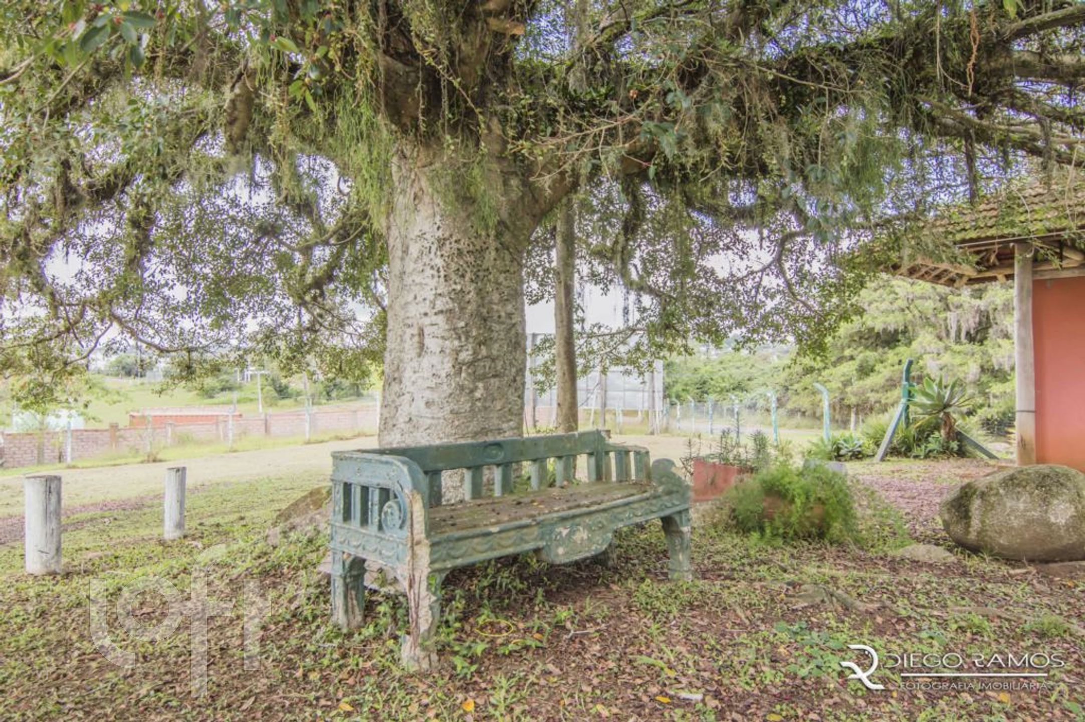 Imagem da propriedade 53