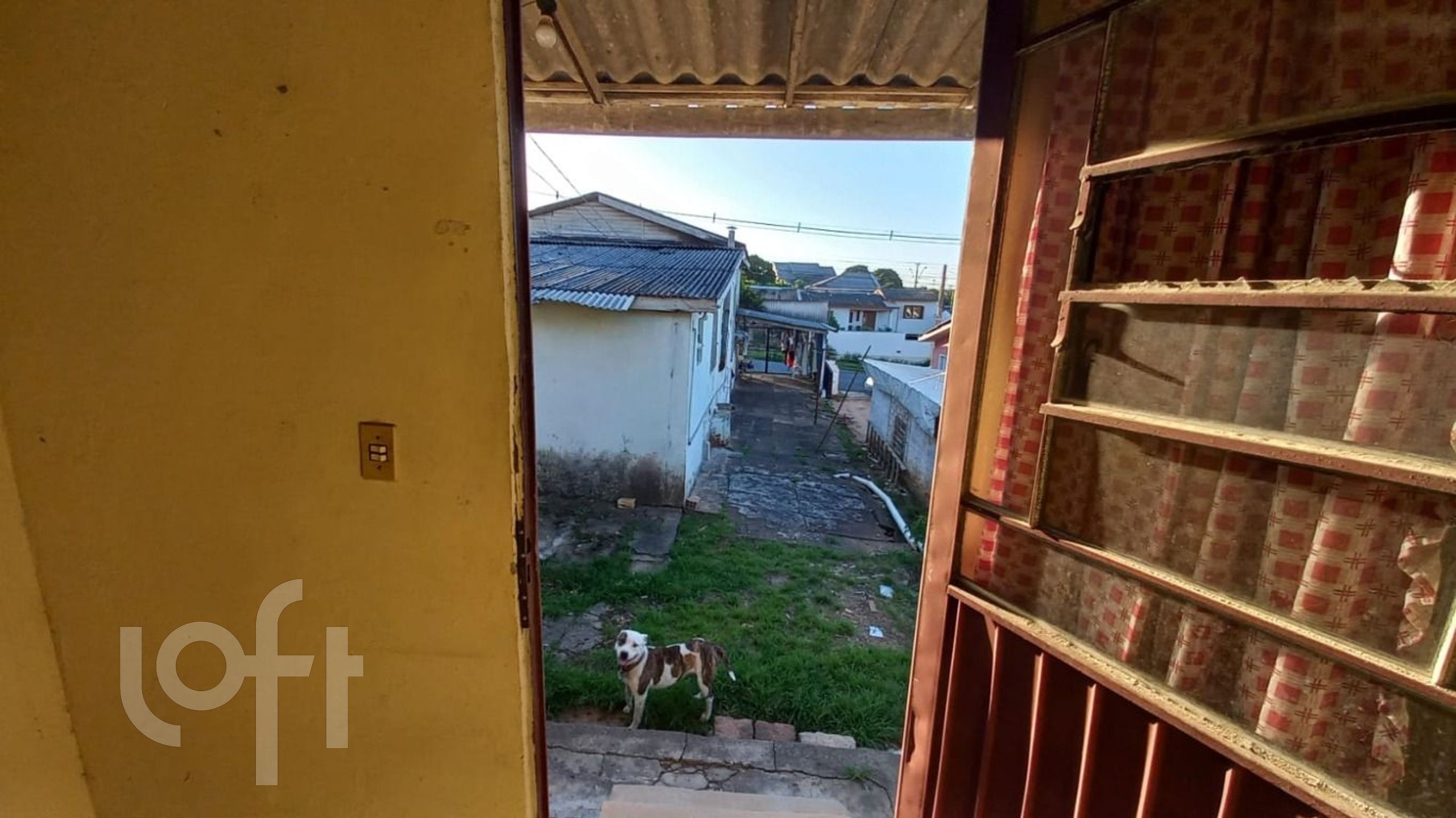 Imagem da propriedade 19