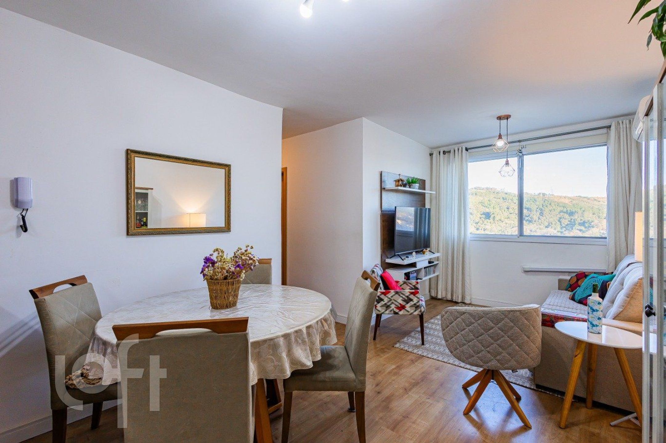 Imagem da propriedade 3