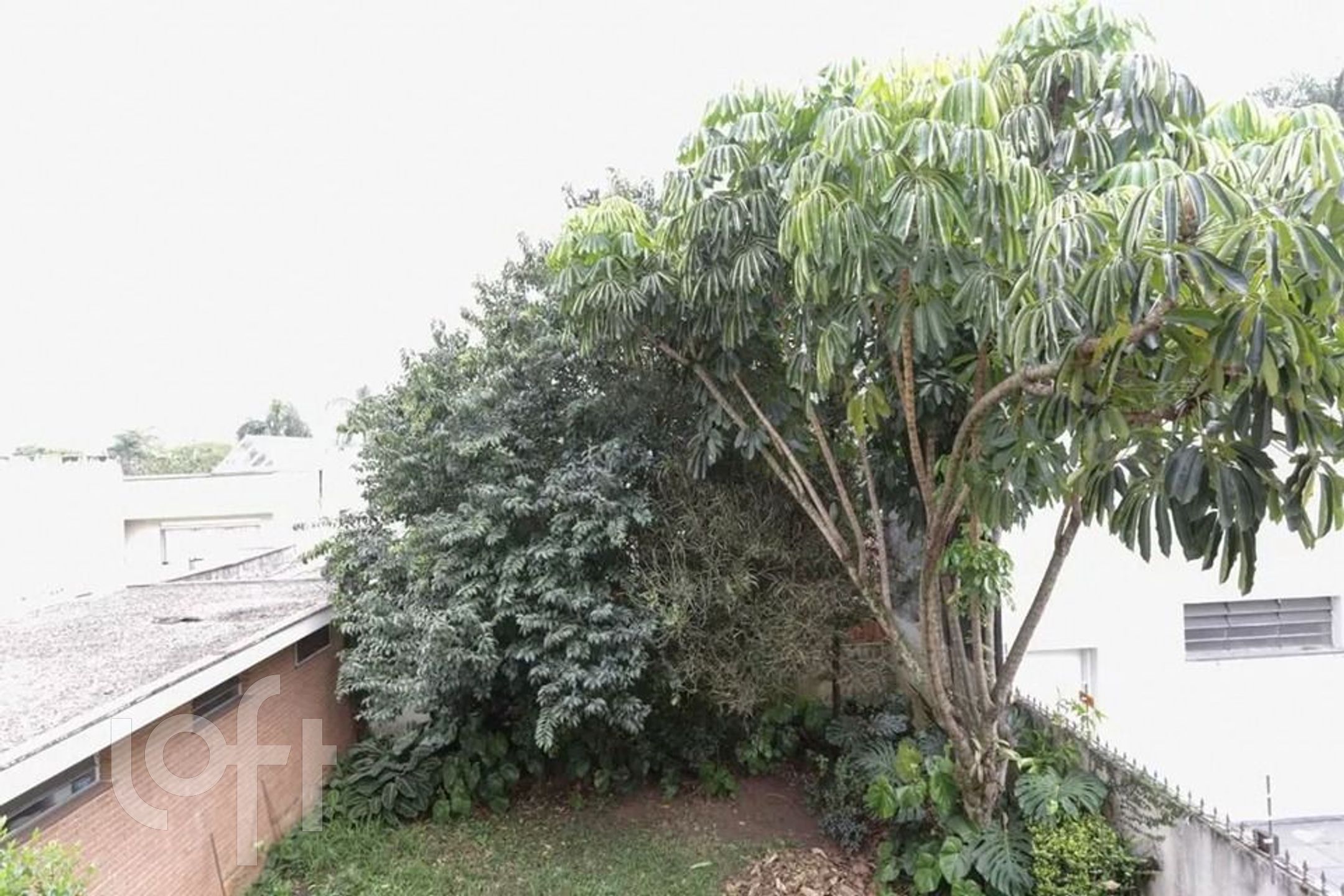 Imagem da propriedade PU1dafevt 45