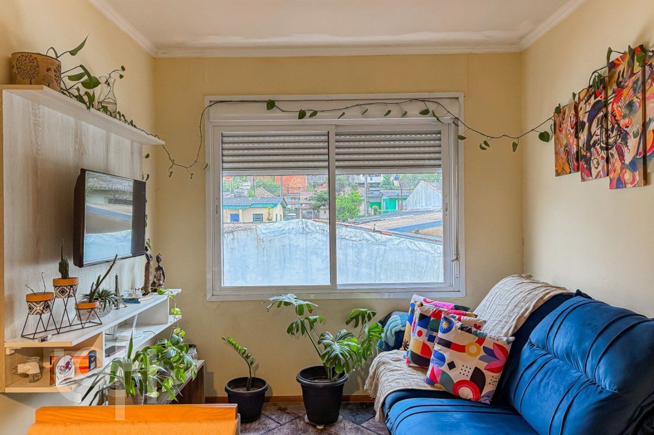 Imagem da propriedade 6