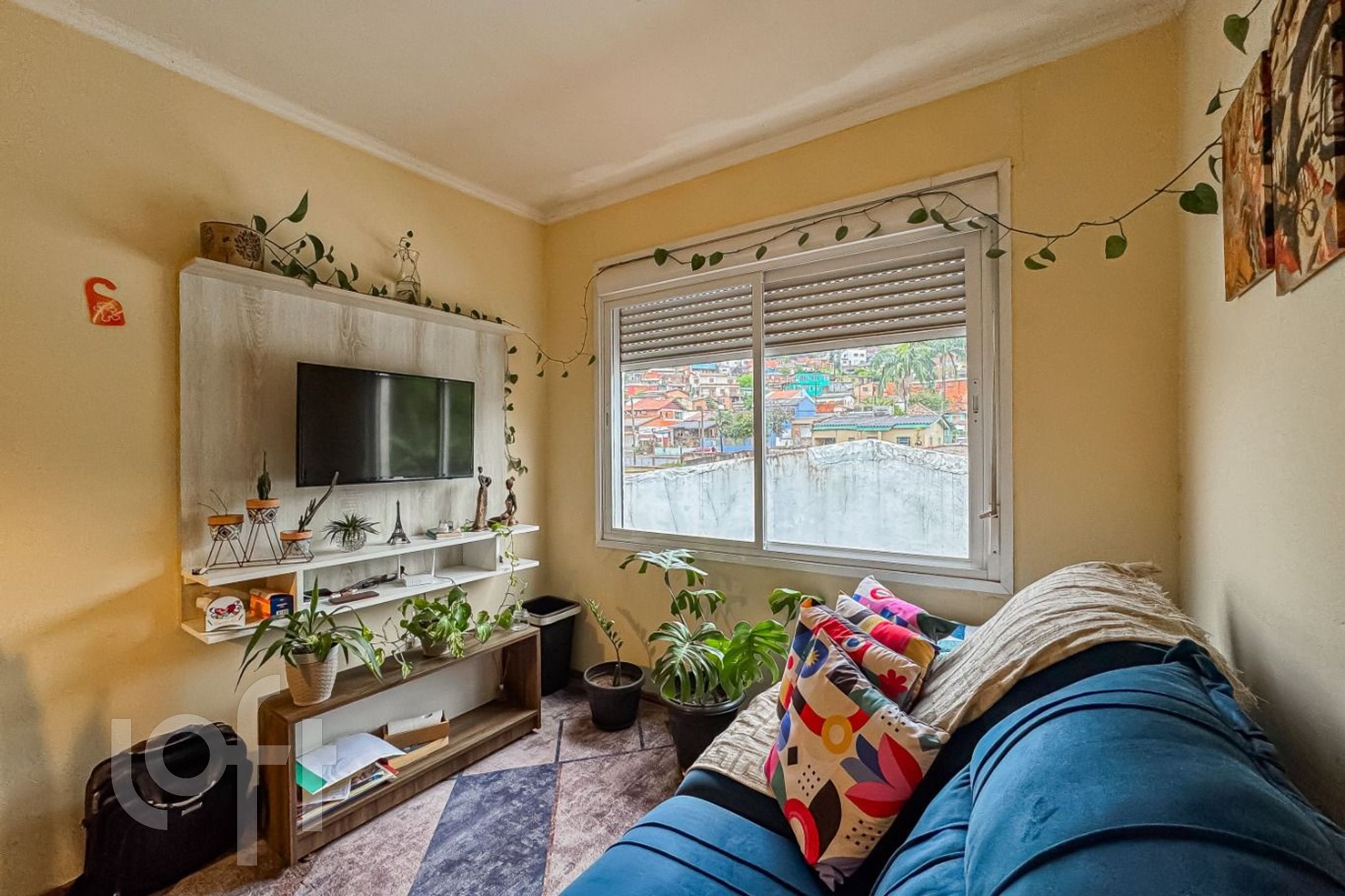 Imagem da propriedade 7