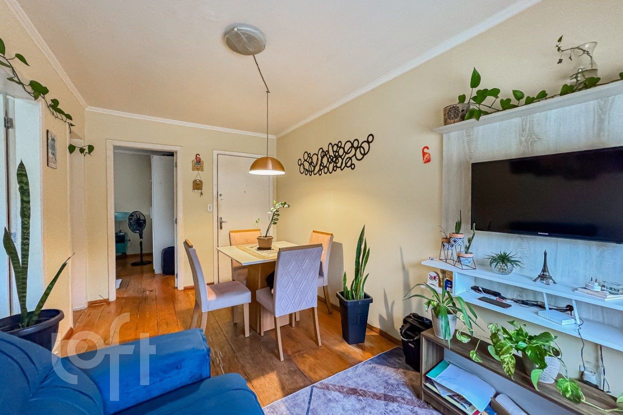 Imagem da propriedade 9