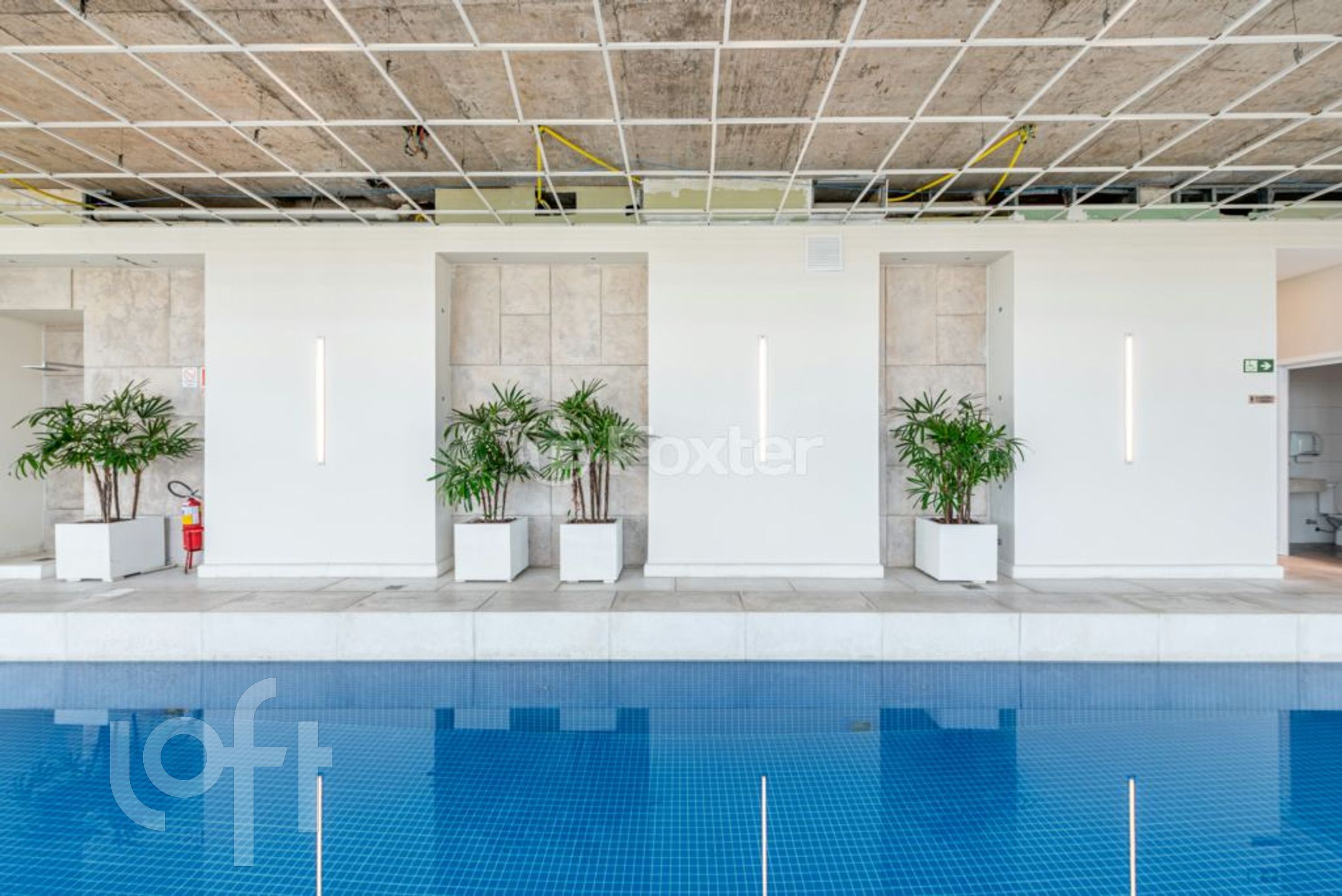 Imagem da propriedade 23