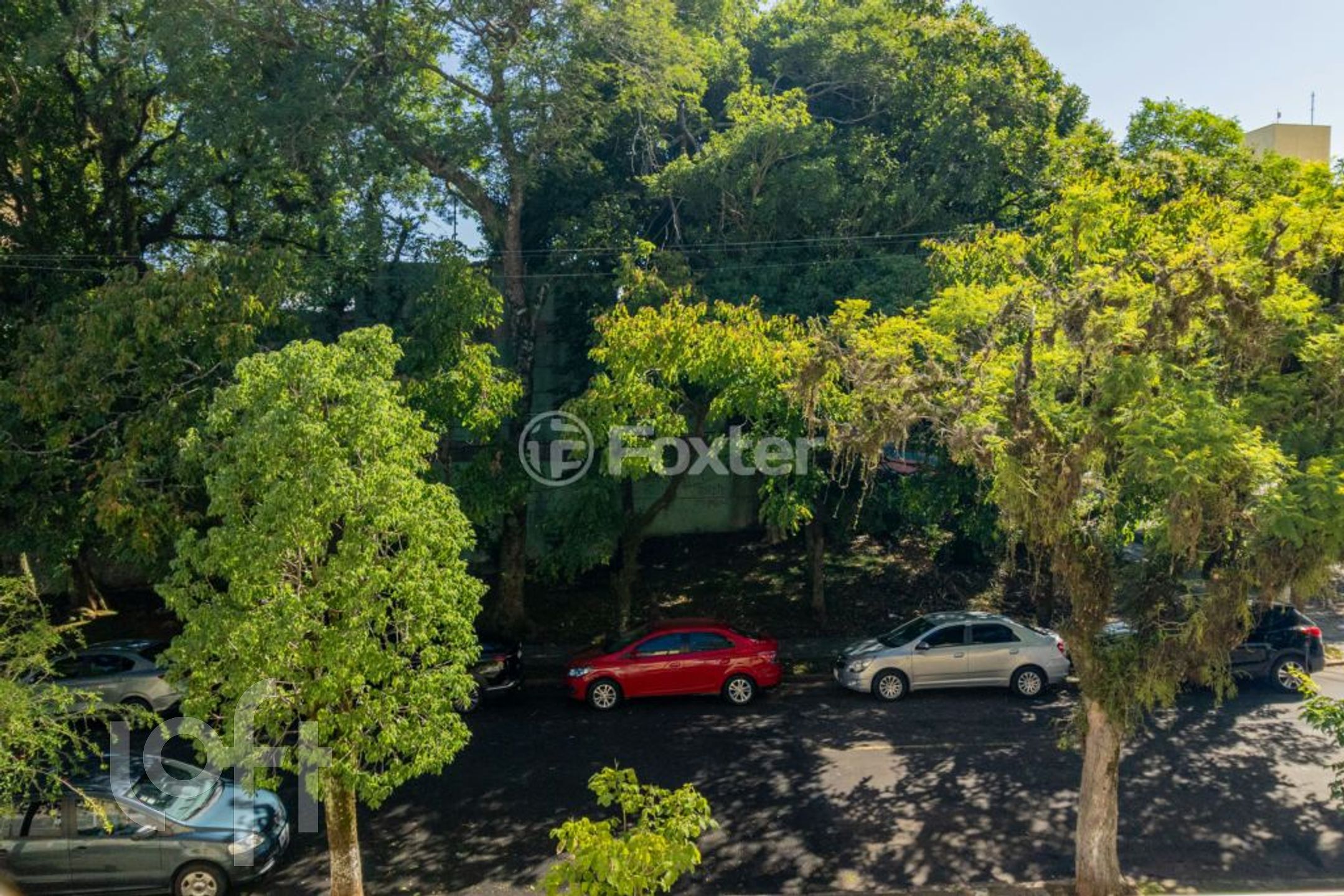 Imagem da propriedade 11