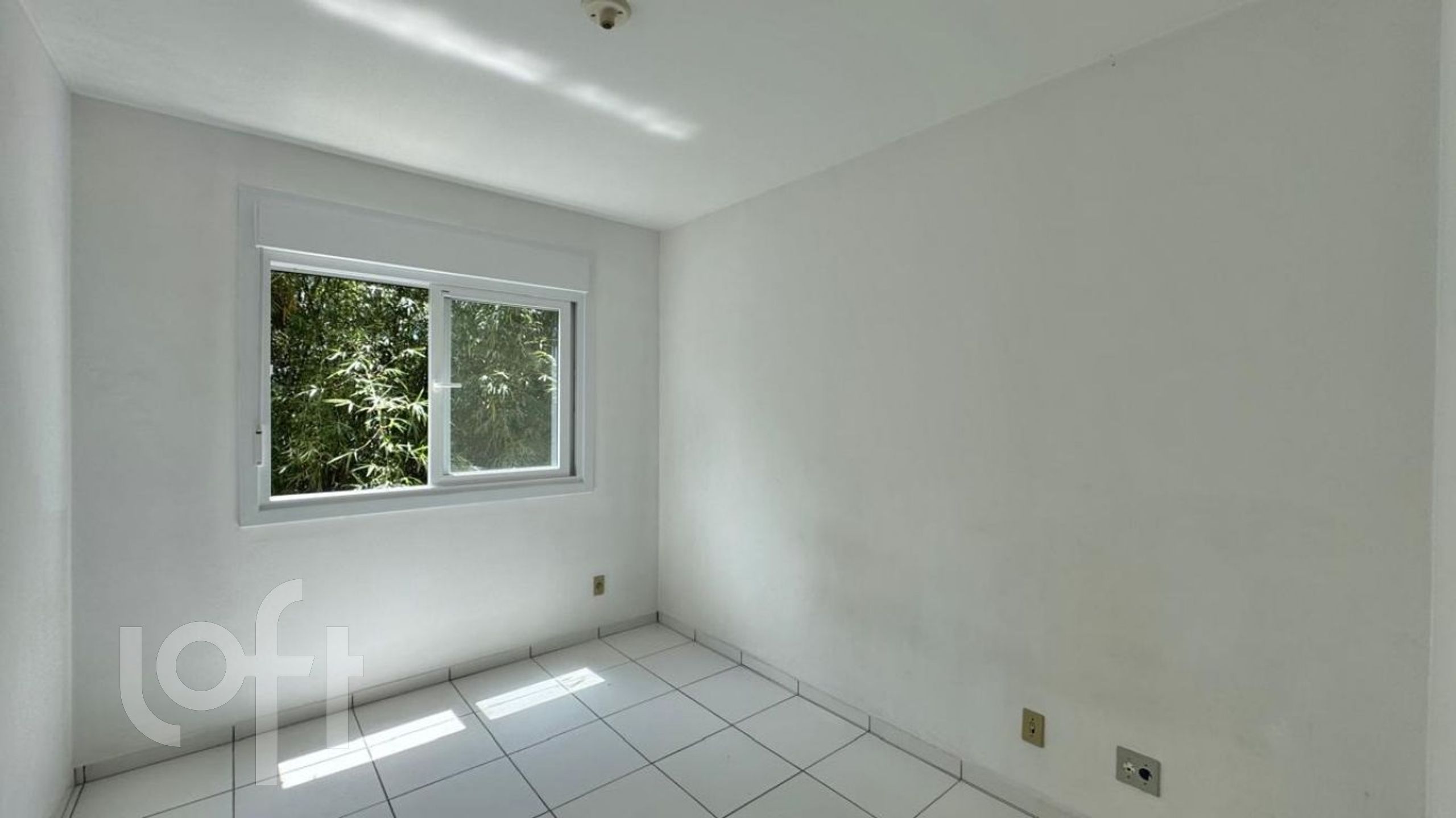 Imagem da propriedade 10