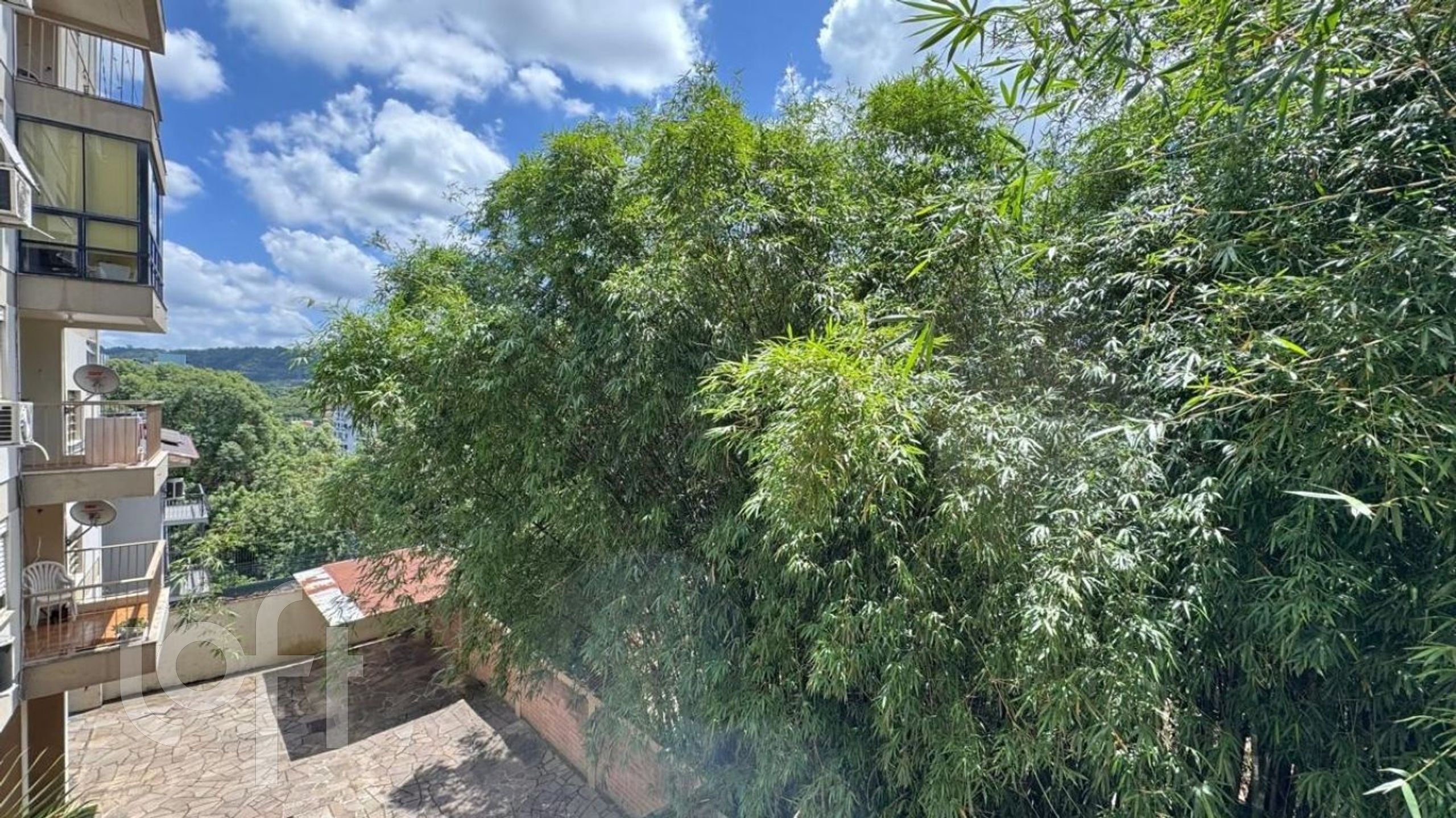 Imagem da propriedade 15