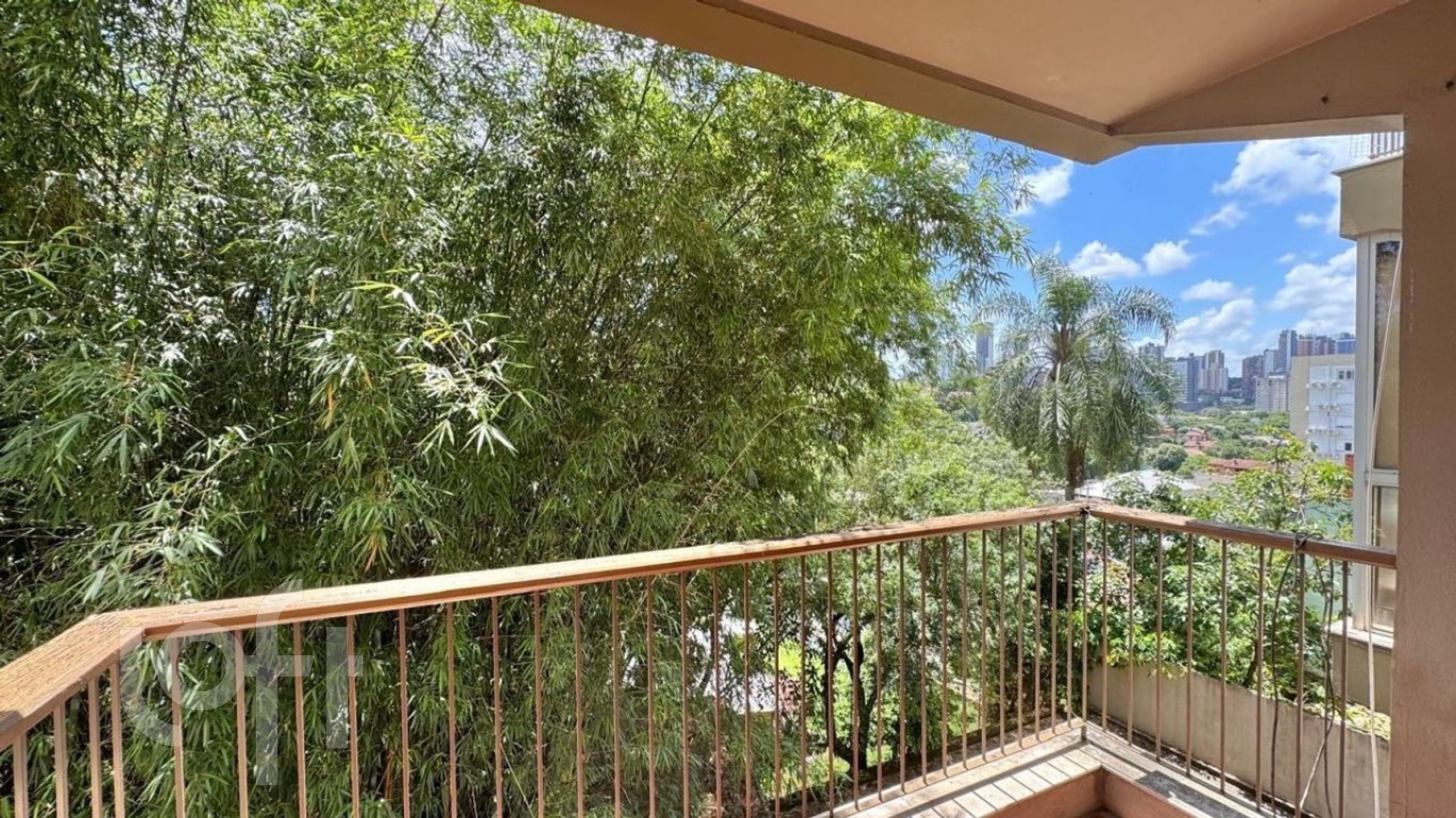 Imagem da propriedade 7