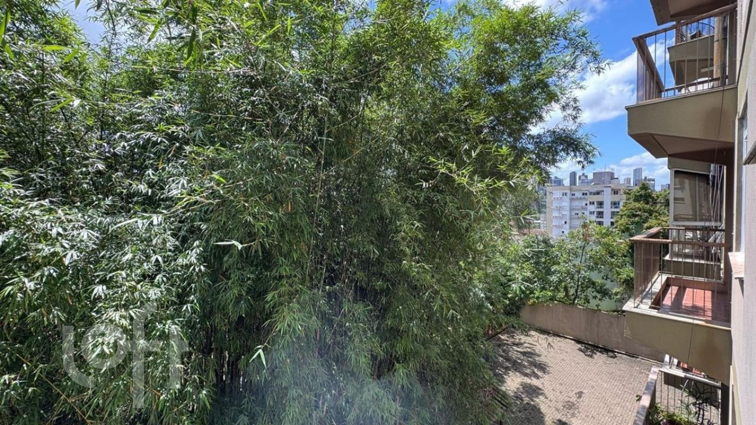 Imagem da propriedade 16