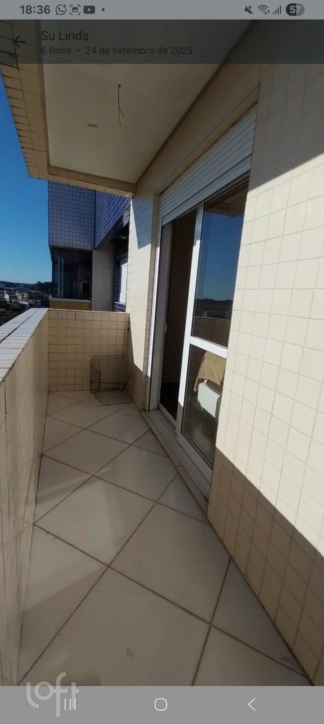 Imagem da propriedade 16