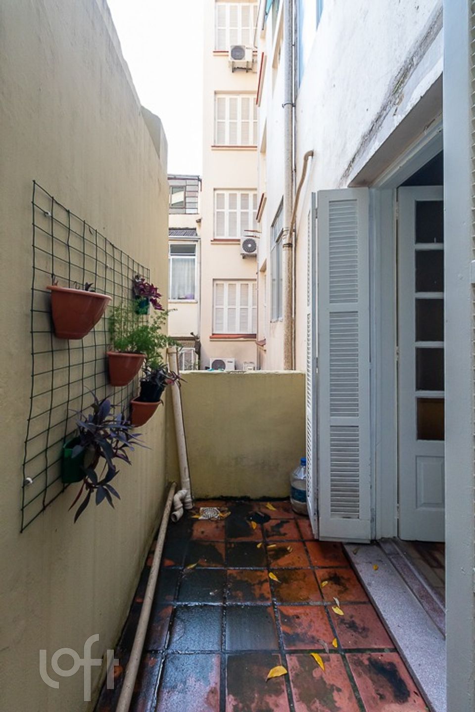 Imagem da propriedade 10