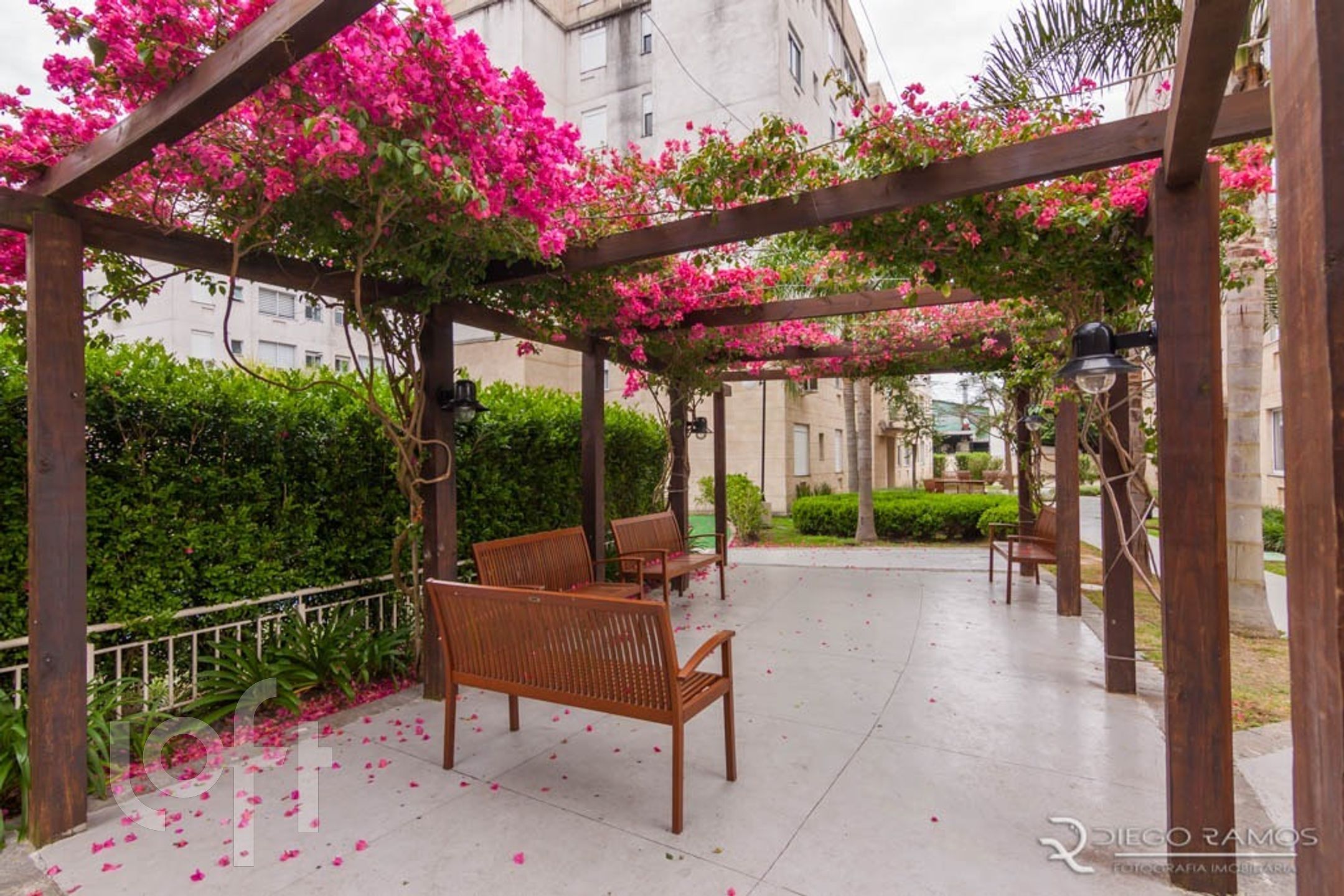 Imagem da propriedade 21