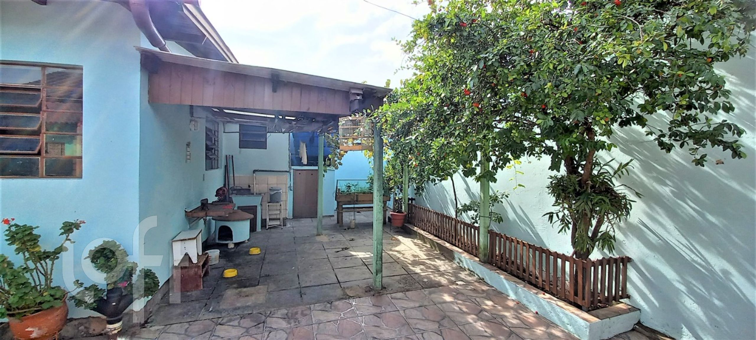 Imagem da propriedade 19