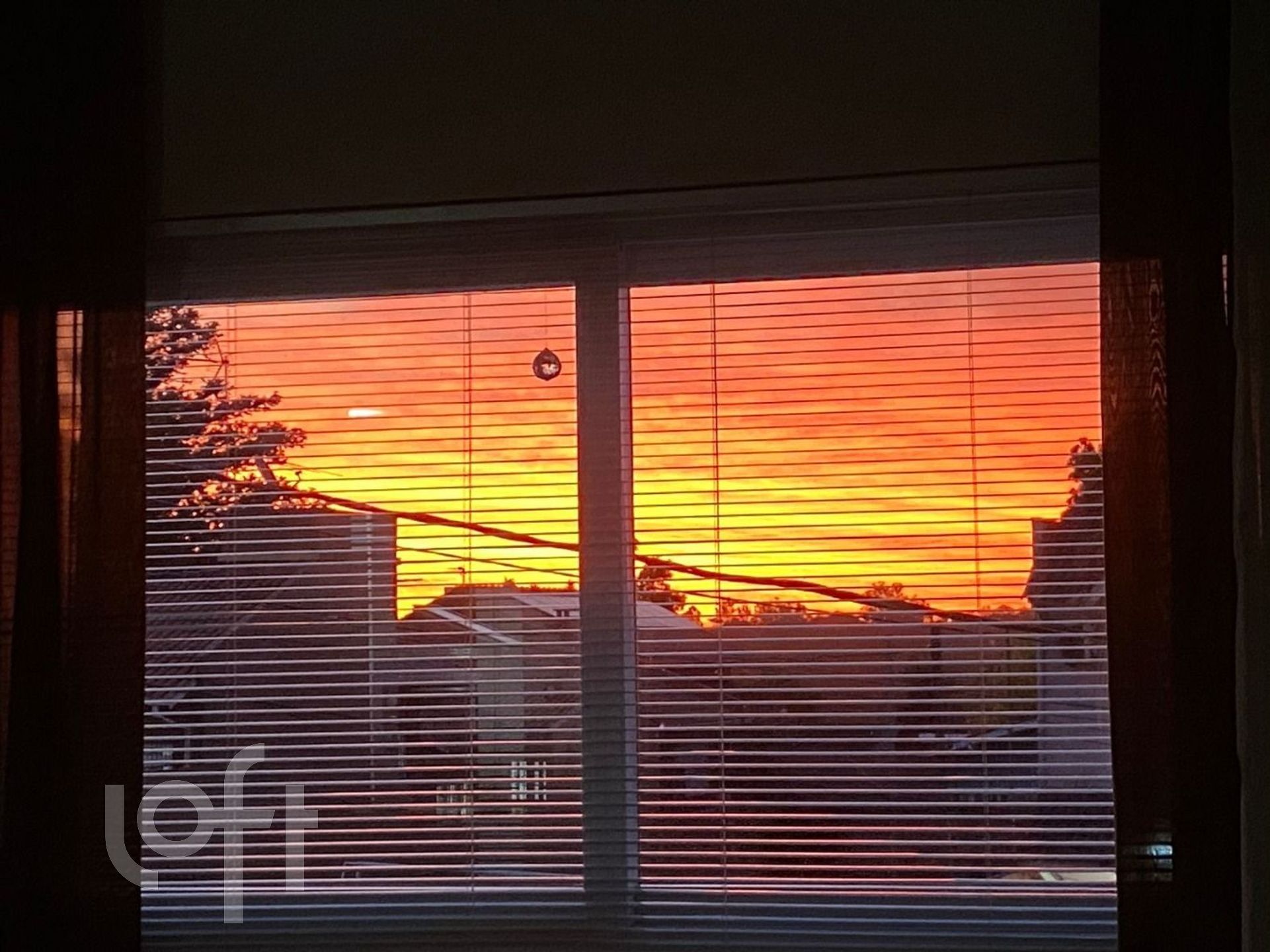 Imagem da propriedade 17