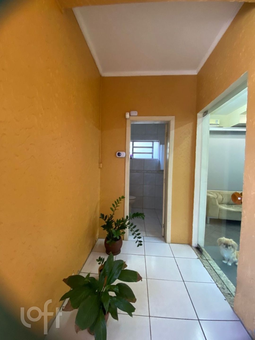 Imagem da propriedade 62