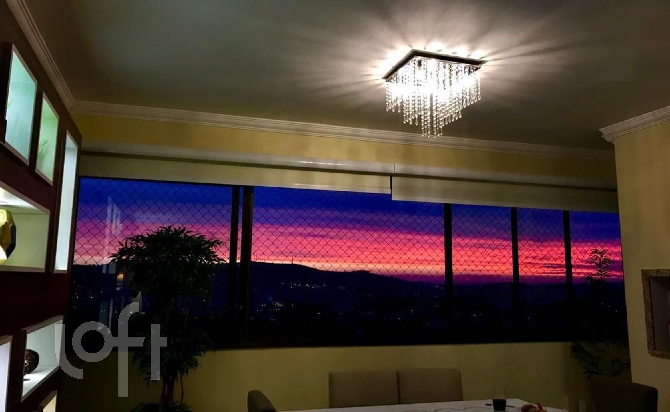 Imagem da propriedade 15