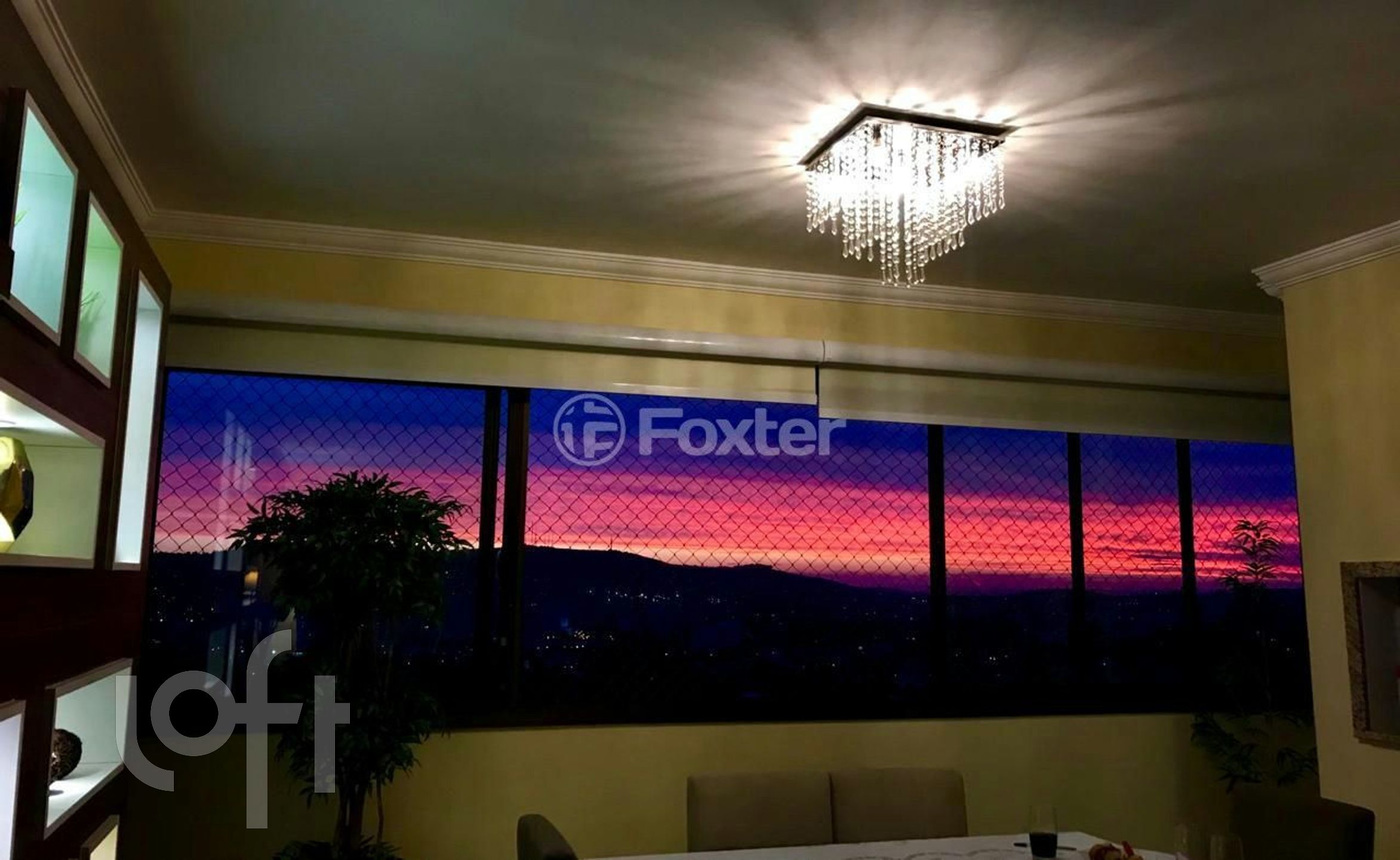 Imagem da propriedade 5