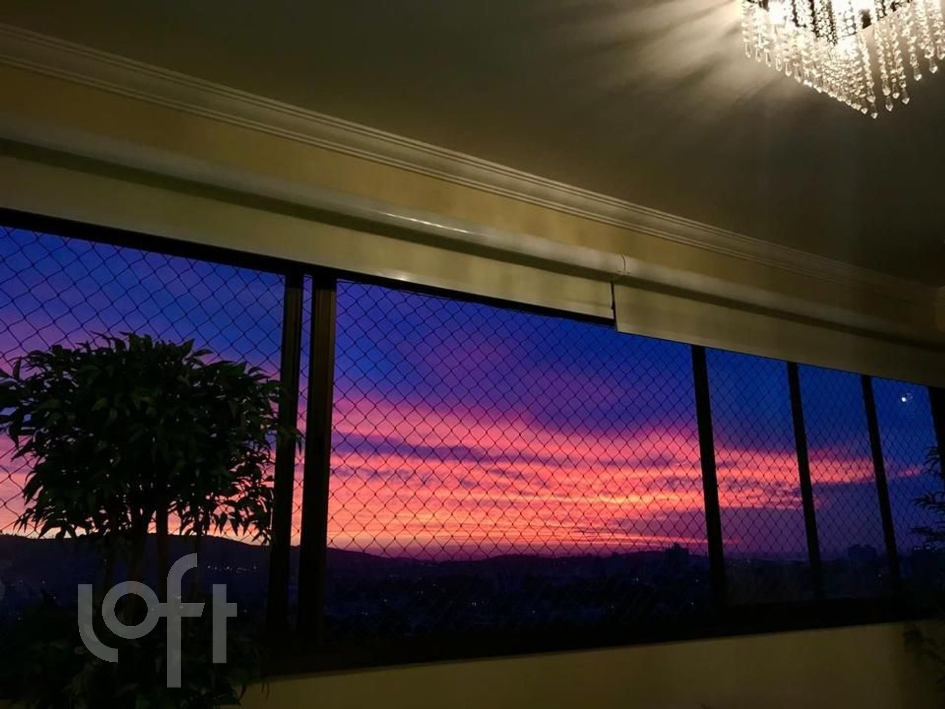 Imagem da propriedade 16