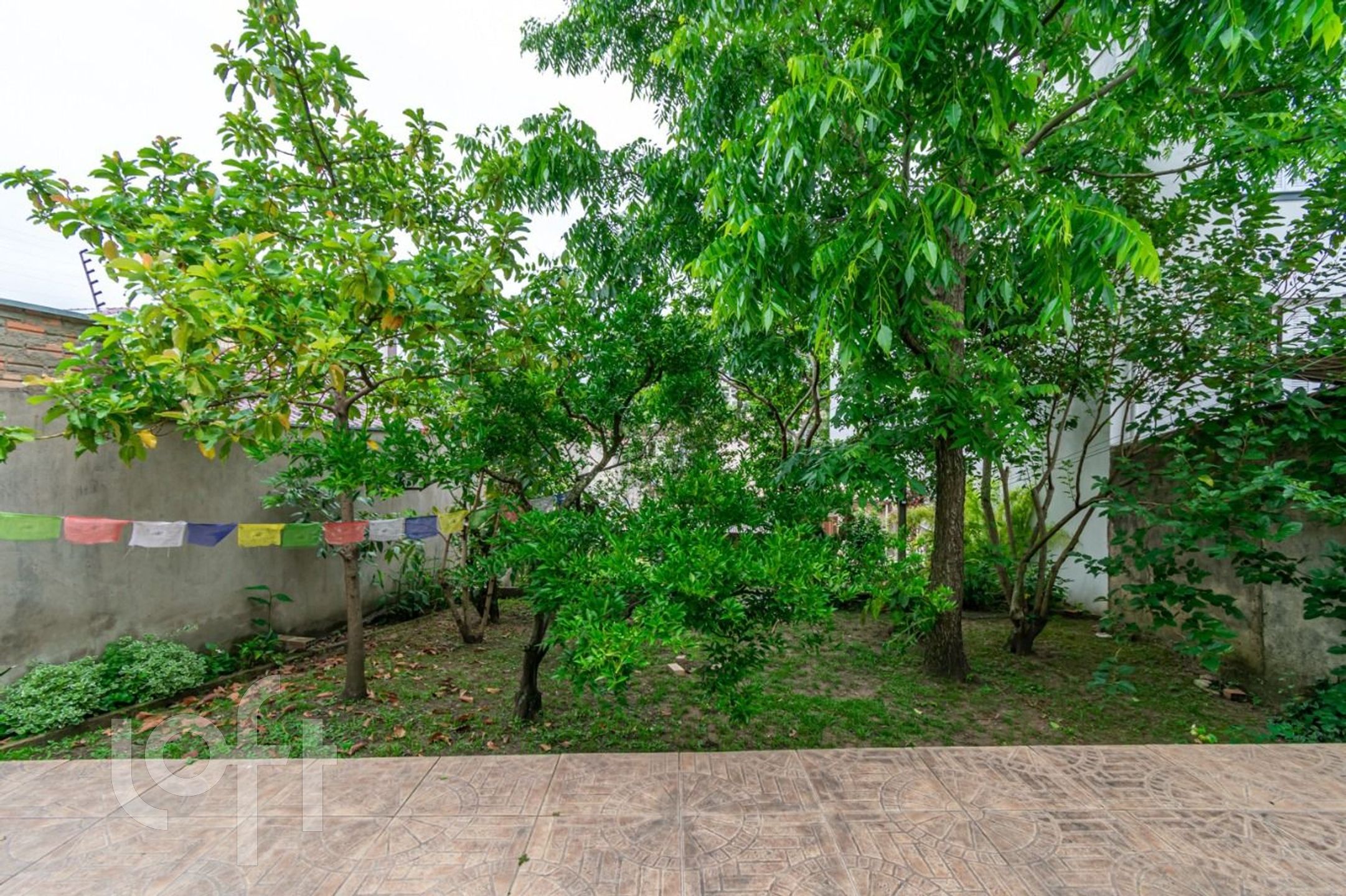 Imagem da propriedade 20