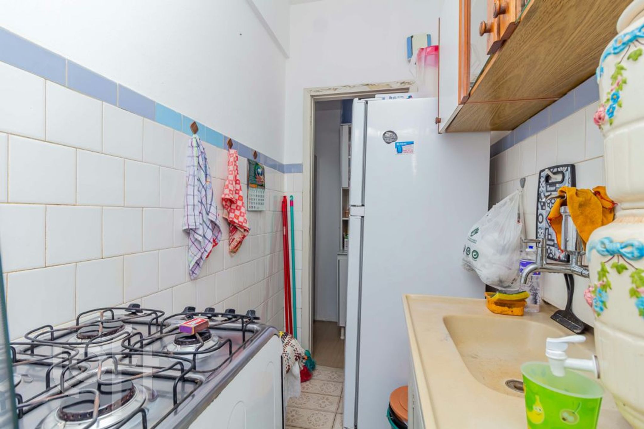 Imagem da propriedade 13