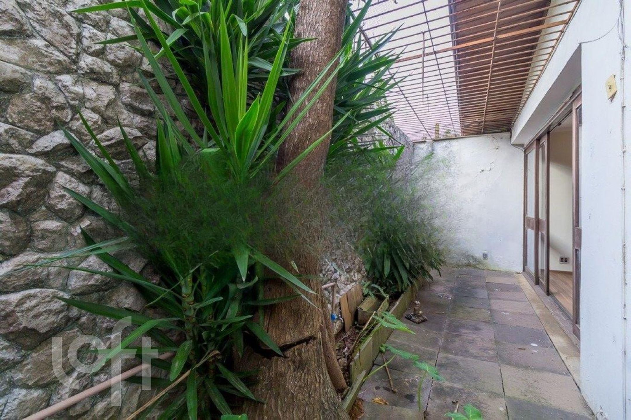 Imagem da propriedade 6