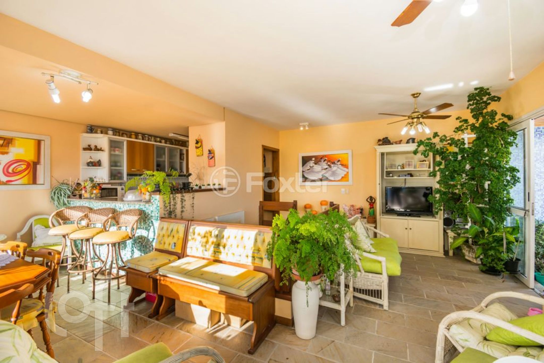 Imagem da propriedade 33