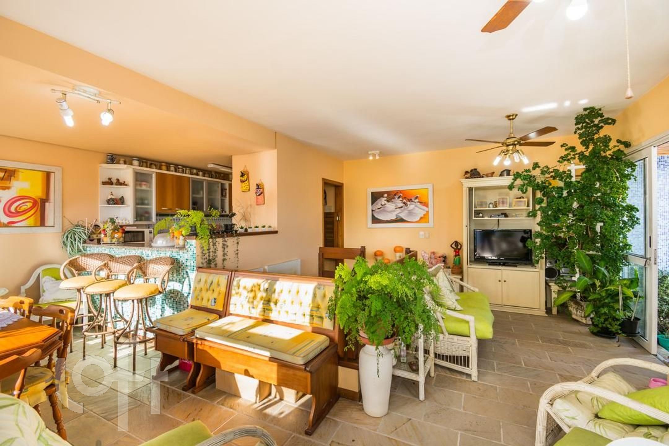 Imagem da propriedade 33