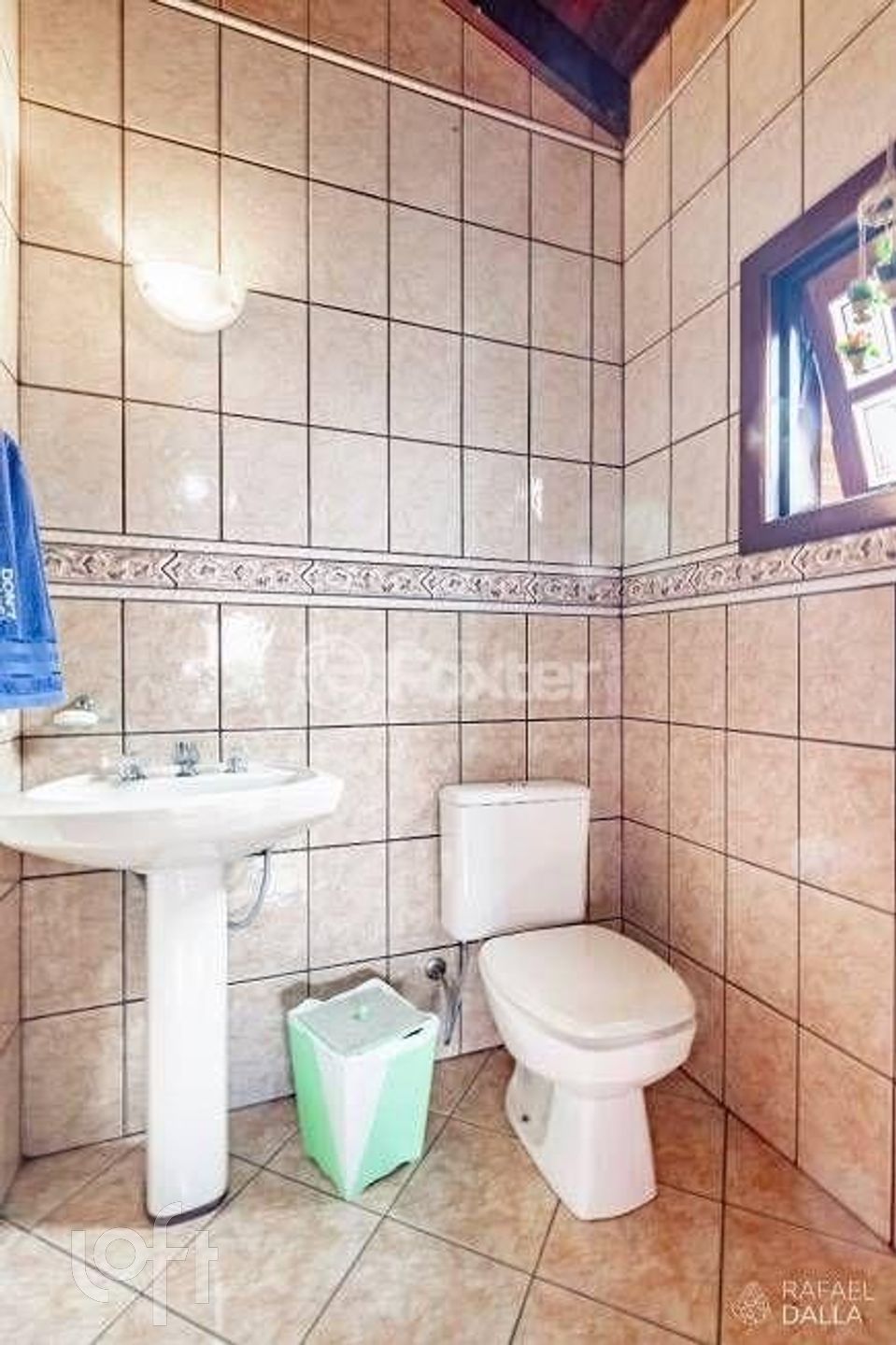 Imagem da propriedade 33