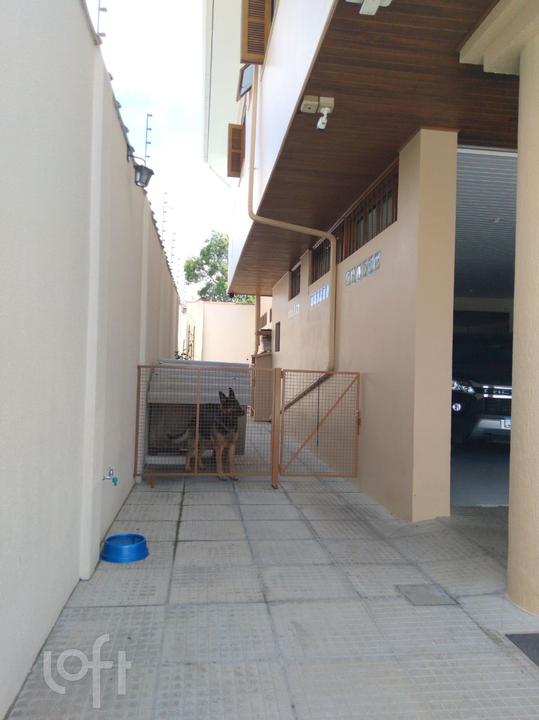 Imagem da propriedade 53