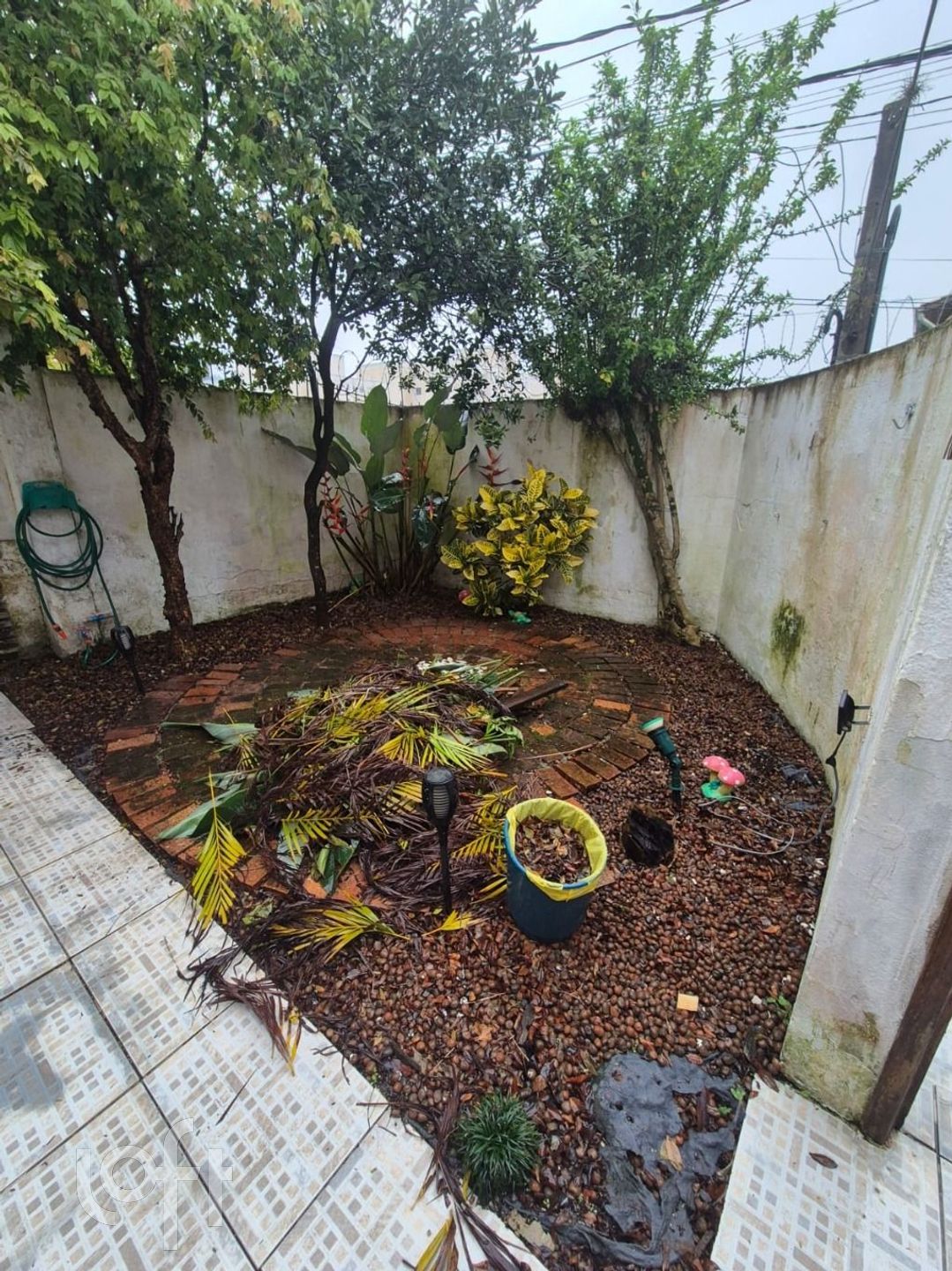 Imagem da propriedade 3