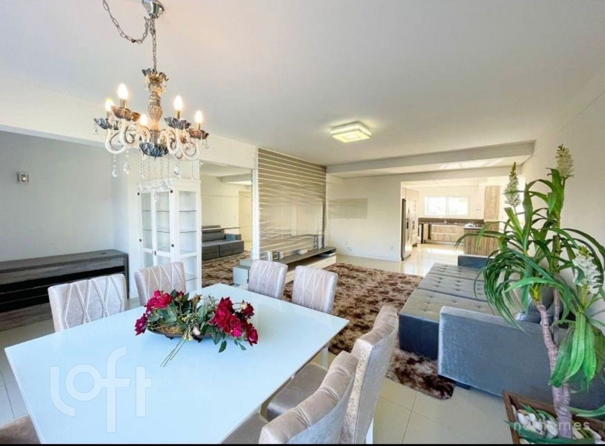 Imagem da propriedade 8