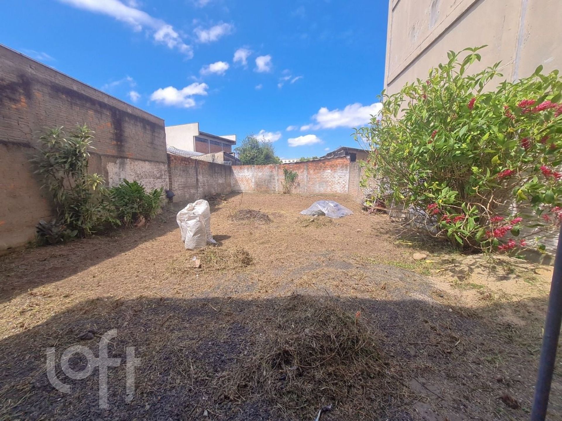 Imagem da propriedade 29