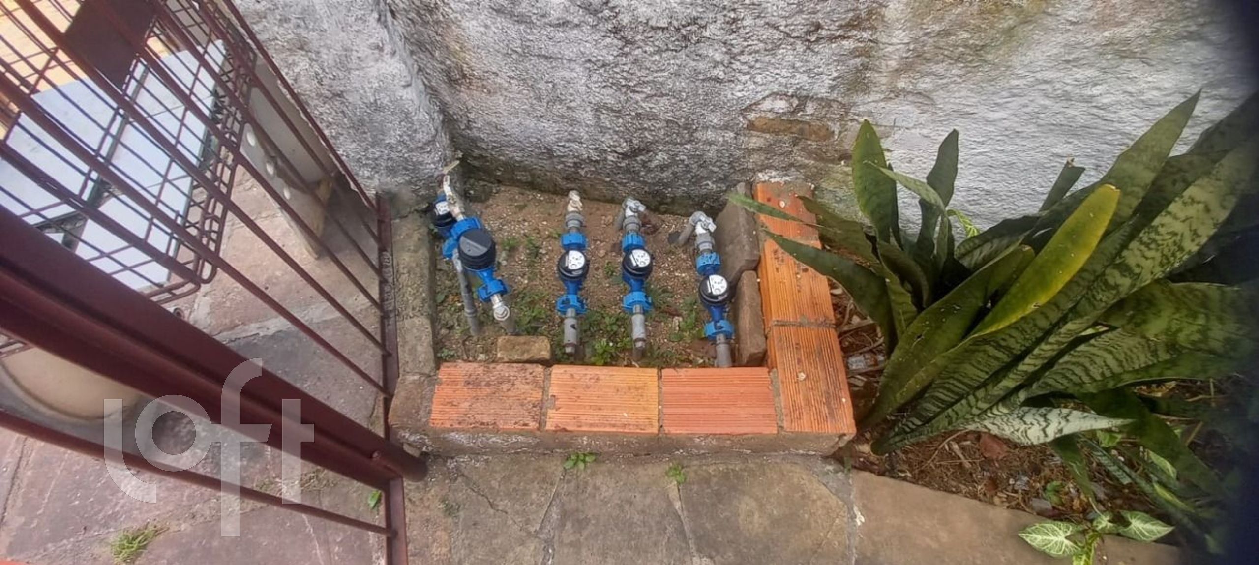 Imagem da propriedade 5