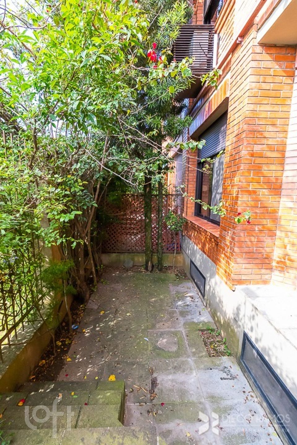 Imagem da propriedade 10