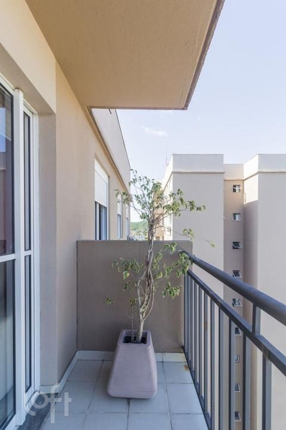 Imagem da propriedade 5